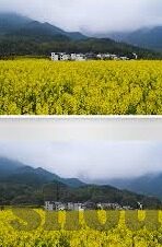 12足球电竞比分-当绿茵场遇见虚拟世界,12场足球电竞比分背后的竞技与狂欢