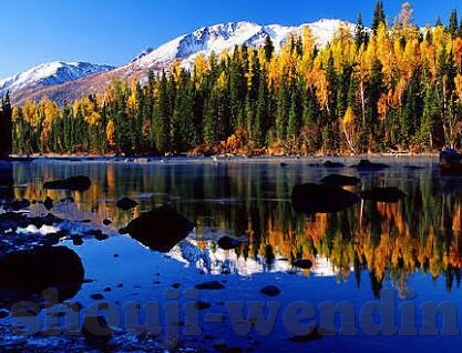今日足球比分结果-今夜绿茵烽火，五大联赛激战全记录与深度解析