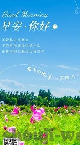 网易直播足球比分-网易直播足球比分,实时追踪绿茵激情,打造球迷专属观赛盛宴