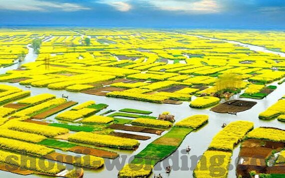 足球比分190版qq足球比分-足球比分190版QQ足球比分，球迷的实时信息宝库与互动乐园