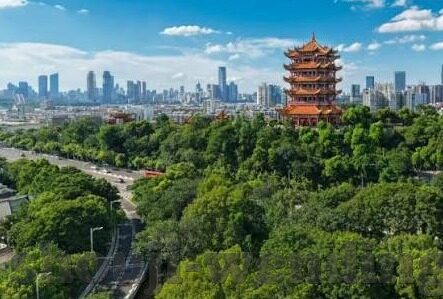足球比分网即时比分新闻-足球比分网即时比分,一场数字背后的足球狂欢与深度解析