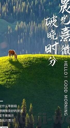 足球精彩比分直播500-足球狂欢夜！500场精彩比分直播全记录，激情与热血的碰撞